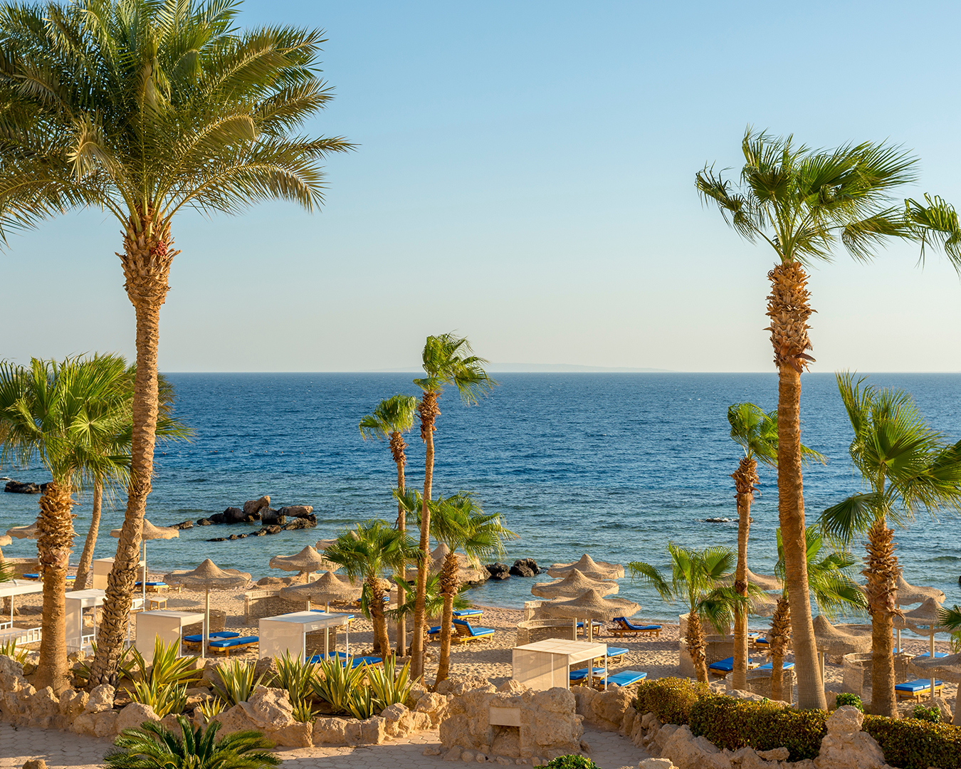 Red Sea Escape